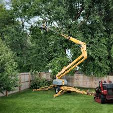 Best Tree Health Inspection  in Philmont, NY